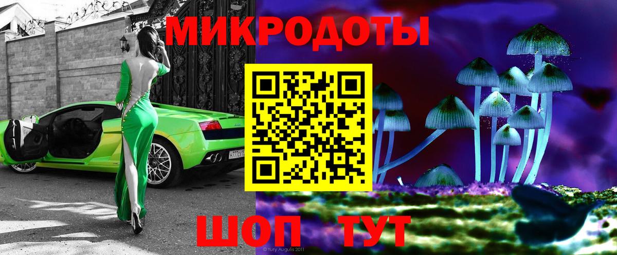 Псилоцибиновые грибы Psilocybe Будённовск