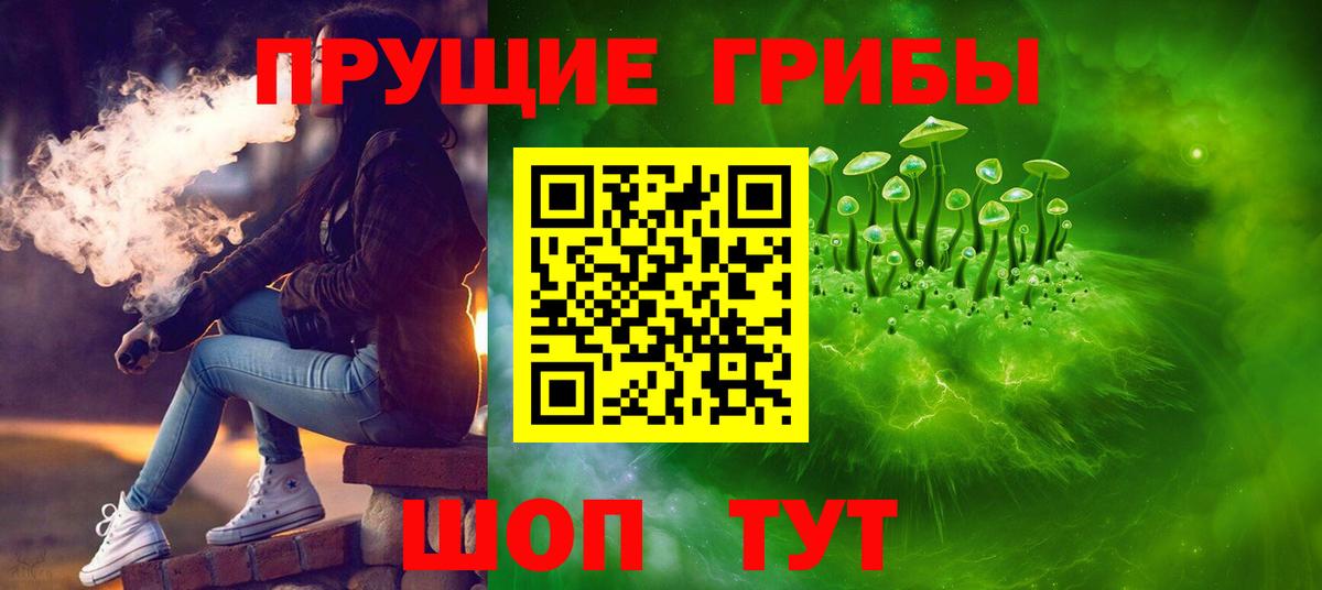 продажа наркотиков  Псилоцибиновые грибы Psilocybe  Вход с VPN  Будённовск  Псилоцибиновые грибы Magic Shrooms 