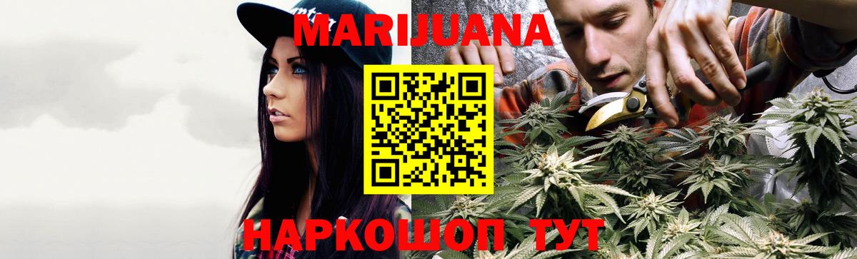 Канабис OG Kush Будённовск